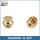 Button Head Grease Nipples DIN 3404 M1 (&Oslash;16mm) G 1/4" brass